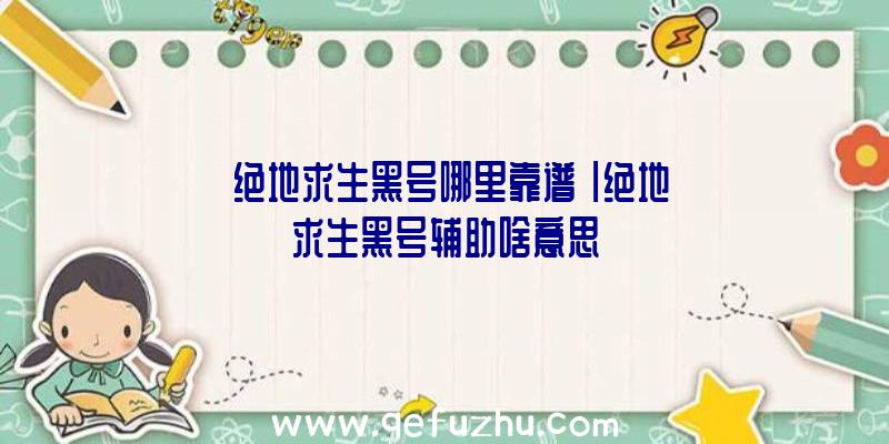 「绝地求生黑号哪里靠谱」|绝地求生黑号辅助啥意思